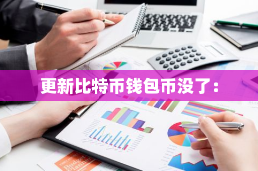 更新比特币钱包币没了：-第1张图片-智财锋资讯网