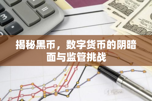 揭秘黑币，数字货币的阴暗面与监管挑战