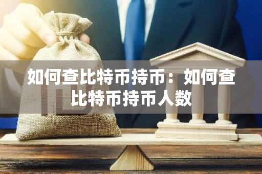 如何查比特币持币：如何查比特币持币人数-第1张图片-智财锋资讯网
