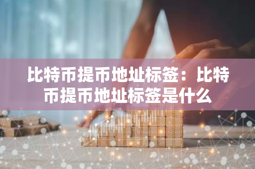 比特币提币地址标签:比特币提币地址标签是什么-第1张图片-智财锋资讯网 比特币提币地址标签:比特币提币地址标签是什么-第1张图片-智财锋资讯网