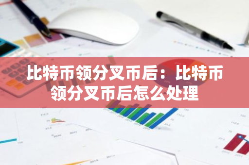 比特币领分叉币后：比特币领分叉币后怎么处理-第1张图片-智财锋资讯网