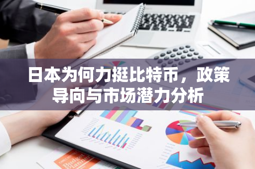 日本为何力挺比特币,政策导向与市场潜力分析-第1张图片-智财锋资讯网 日本为何力挺比特币,政策导向与市场潜力分析-第1张图片-智财锋资讯网