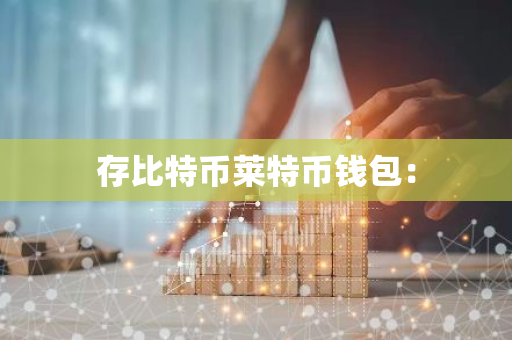 存比特币莱特币钱包：
