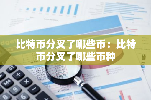 比特币分叉了哪些币：比特币分叉了哪些币种-第1张图片-智财锋资讯网