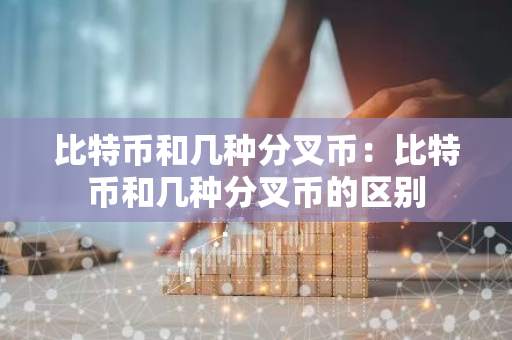 比特币和几种分叉币：比特币和几种分叉币的区别-第1张图片-智财锋资讯网