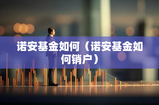 诺安基金如何（诺安基金如何销户）-第1张图片-智财锋资讯网
