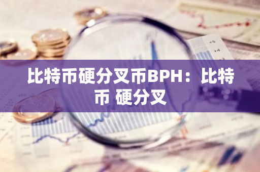 比特币硬分叉币BPH：比特币 硬分叉-第1张图片-智财锋资讯网