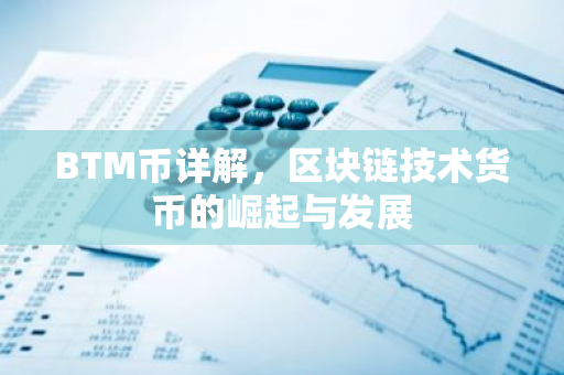BTM币详解,区块链技术货币的崛起与发展-第1张图片-智财锋资讯网 BTM币详解,区块链技术货币的崛起与发展-第1张图片-智财锋资讯网