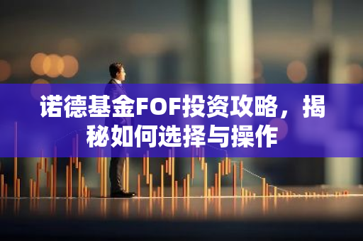 诺德基金FOF投资攻略，揭秘如何选择与操作