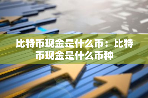 比特币现金是什么币：比特币现金是什么币种-第1张图片-智财锋资讯网