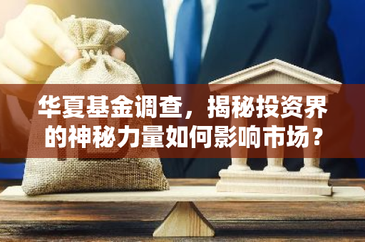 华夏基金调查，揭秘投资界的神秘力量如何影响市场？