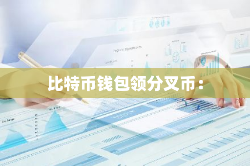 比特币钱包领分叉币：-第1张图片-智财锋资讯网