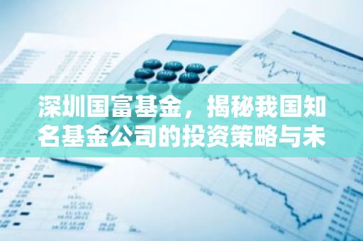 深圳国富基金，揭秘我国知名基金公司的投资策略与未来展望