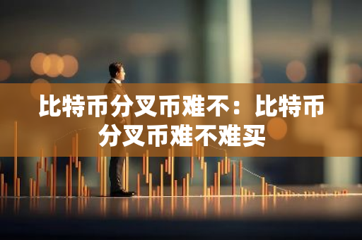 比特币分叉币难不：比特币分叉币难不难买