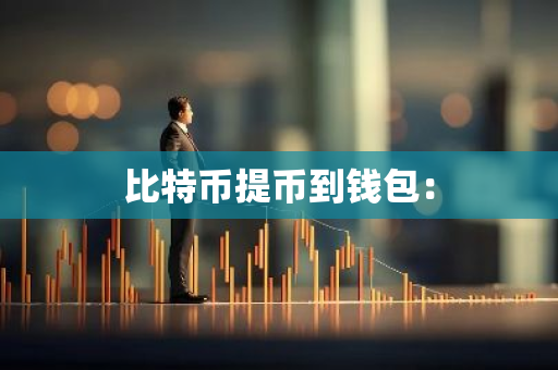 比特币提币到钱包：-第1张图片-智财锋资讯网