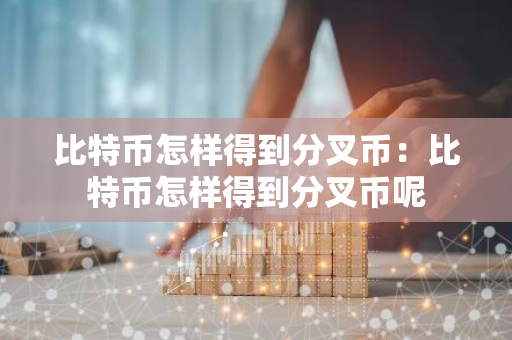 比特币怎样得到分叉币：比特币怎样得到分叉币呢-第1张图片-智财锋资讯网