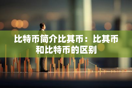 比特币简介比其币：比其币和比特币的区别-第1张图片-智财锋资讯网