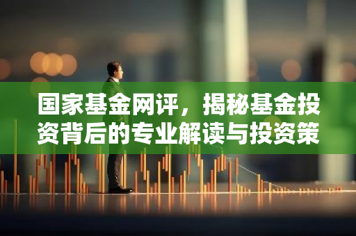 国家基金网评，揭秘基金投资背后的专业解读与投资策略