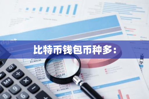 比特币钱包币种多：-第1张图片-智财锋资讯网