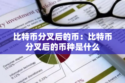 比特币分叉后的币：比特币分叉后的币种是什么