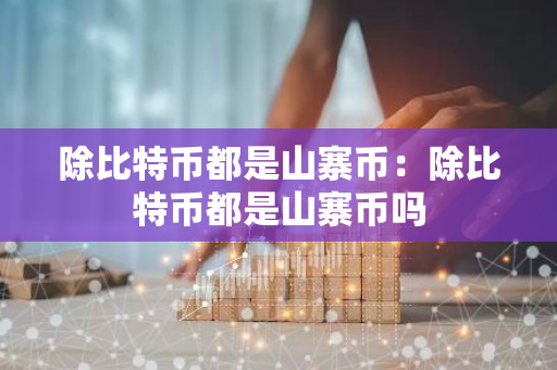 除比特币都是山寨币：除比特币都是山寨币吗