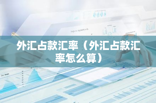 外汇占款汇率(外汇占款汇率怎么算)-第1张图片-智财锋资讯网 外汇占款汇率(外汇占款汇率怎么算)-第1张图片-智财锋资讯网