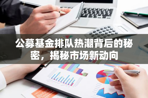 公募基金排队热潮背后的秘密，揭秘市场新动向