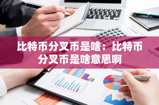比特币分叉币是啥：比特币分叉币是啥意思啊-第1张图片-智财锋资讯网