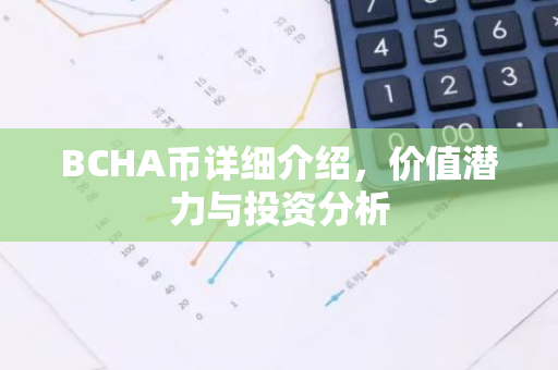 BCHA币详细介绍，价值潜力与投资分析