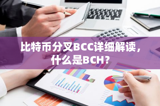 比特币分叉BCC详细解读，什么是BCH？