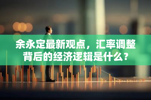 余永定最新观点，汇率调整背后的经济逻辑是什么？