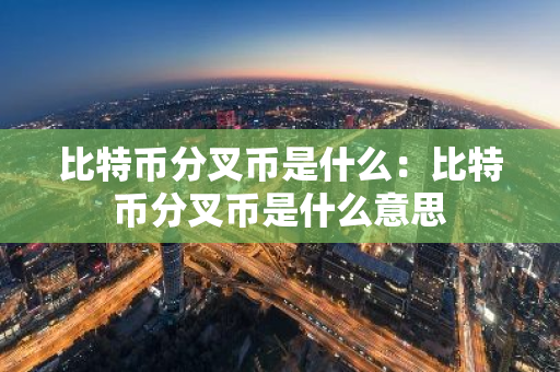 比特币分叉币是什么：比特币分叉币是什么意思